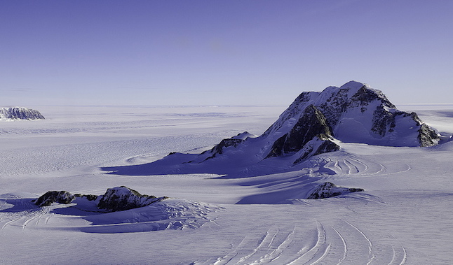 Antarctic science foundation