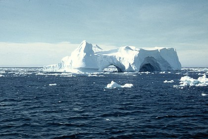 Bransfield strait antarctica